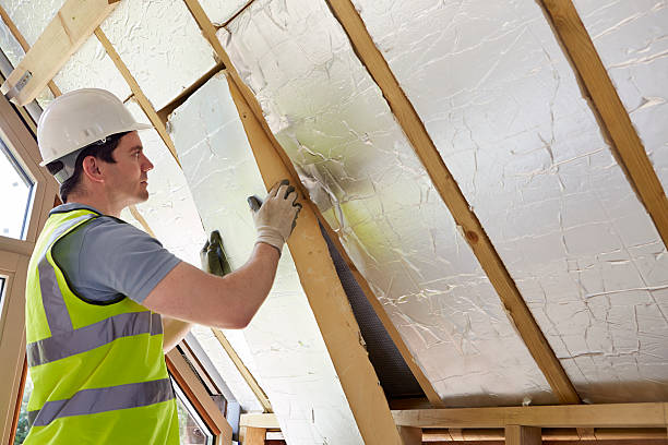 Best Eco-Friendly or Green Insulation Solutions  in Davenport, IA